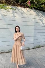 Đầm Carter