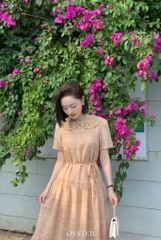 Đầm Carter
