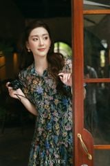 Đầm Invanny
