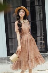 Đầm Carter