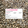  BLOSSOM - Cà phê Arabica Natural Cầu Đất - High quality coffee Arabica Natural Cầu Đất 