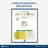  ANCHOR -  Fine Robusta - Top 3 Viet Nam Amazing Cup 2024 