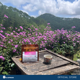  SEA BREEZE - Arabica Măng Đen Natural - Top 8 Vietnam Amazing Cup 2024 
