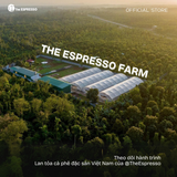  RAINBOW -  Cà phê Robusta Đặc Sản Lâm Hà - Fine Robusta Lâm Hà 