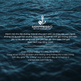  OCEAN SWELL- Arabica Cầu Đất Natural DARK ROAST 
