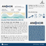  ANCHOR -  Fine Robusta - Top 3 Viet Nam Amazing Cup 2024 