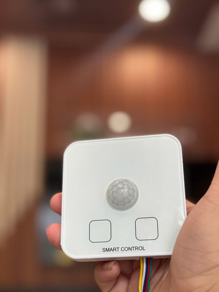 CẢM BIẾN LẮP NỔI | 12V