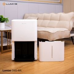 Máy hút ẩm kiêm lọc không khí Lumias D6S-60L