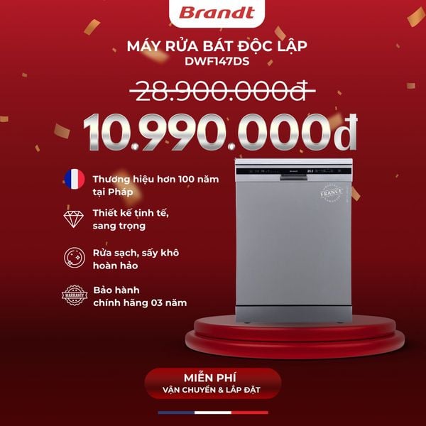 Máy rửa bát Brandt DWF147DS