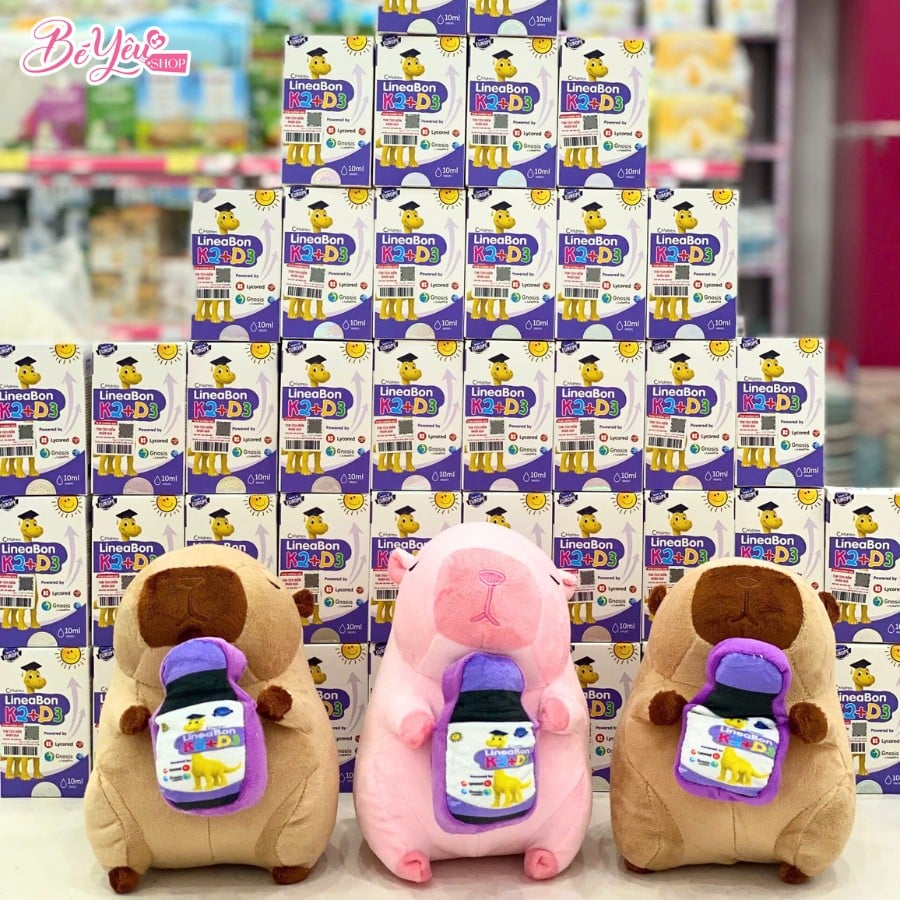 Quà Lineabon Capybara 20Cm