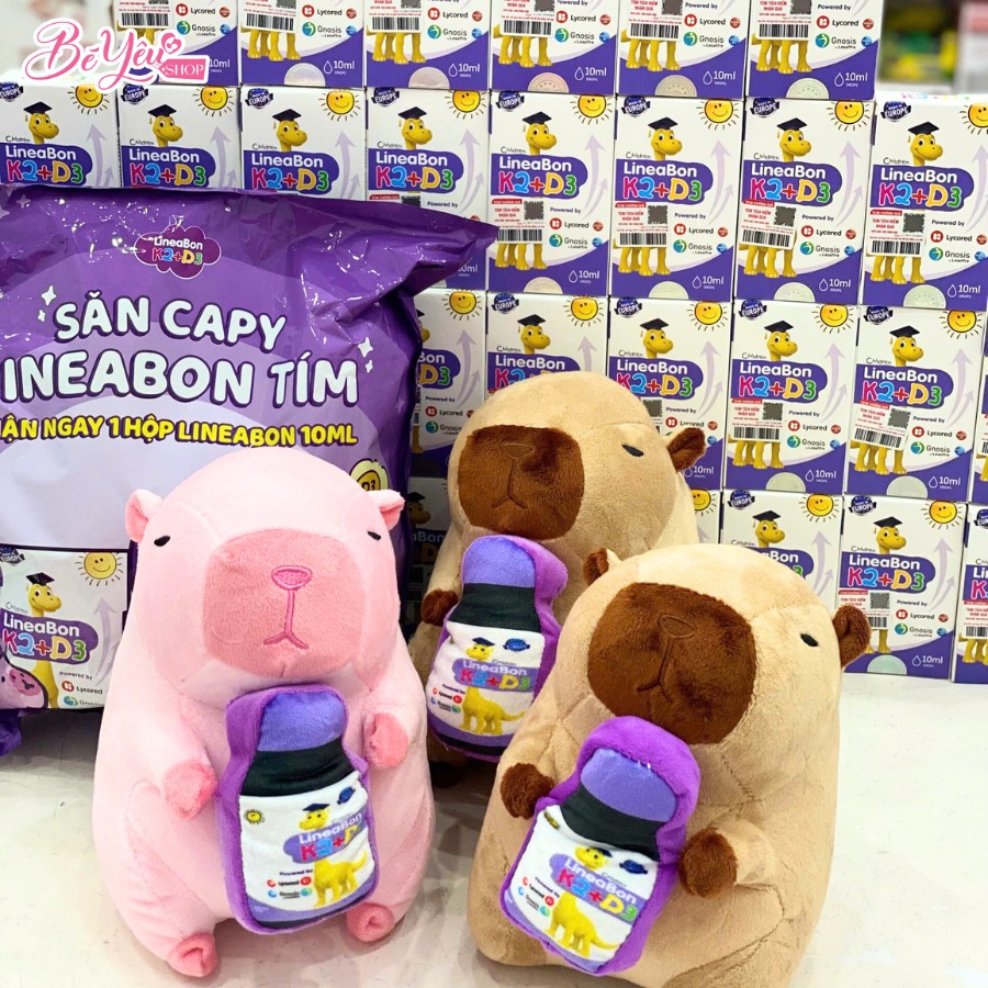 Quà Lineabon Capybara 20Cm