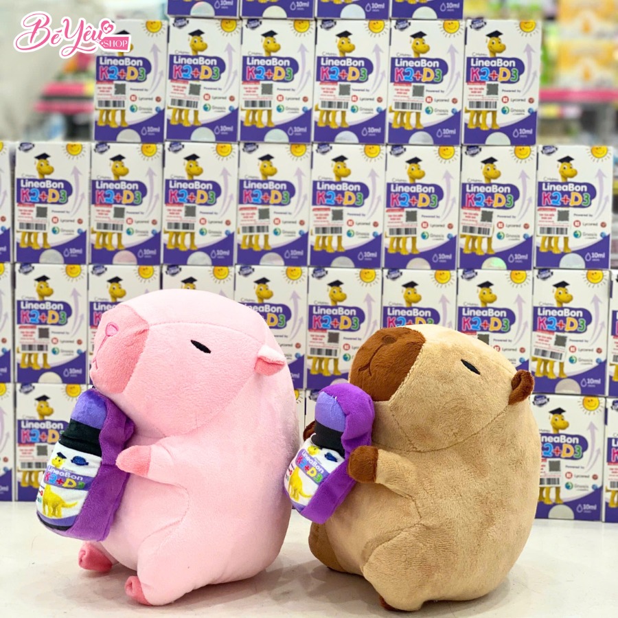 Quà Lineabon Capybara 20Cm