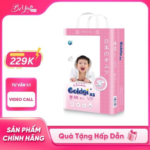 Tã Dán Goldgi X5  M 66M