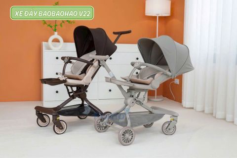 Xe Đẩy Baobaohao V22