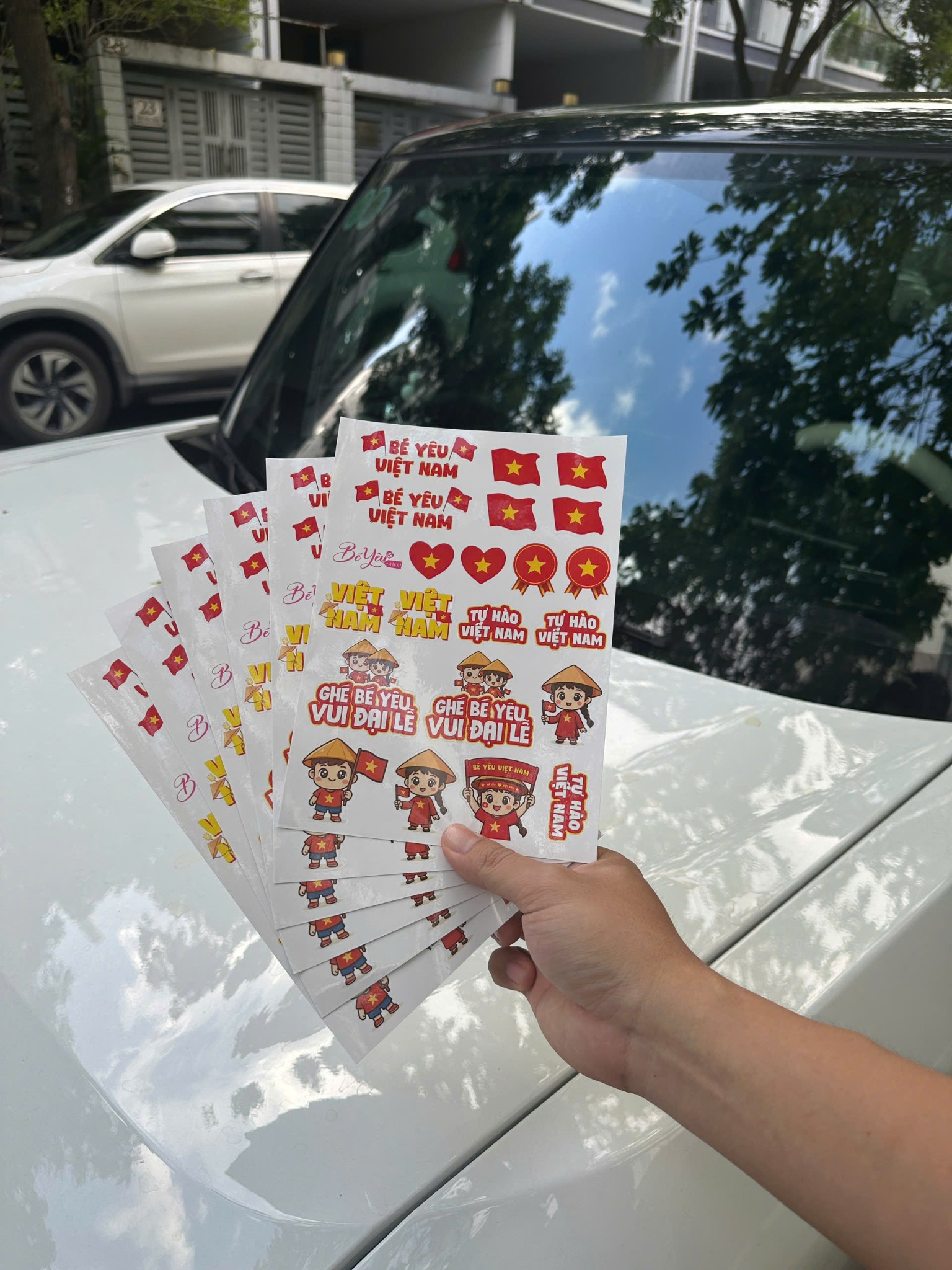 Sticker Em Bé Yêu Nước
