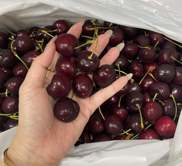 Thùng Cherry Premium New Zealand Size 28-30