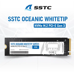 Ổ Cứng SSD NVME 256GB SSTC E130 M.2 OCEANIC WHITETIP Gen3 Mới