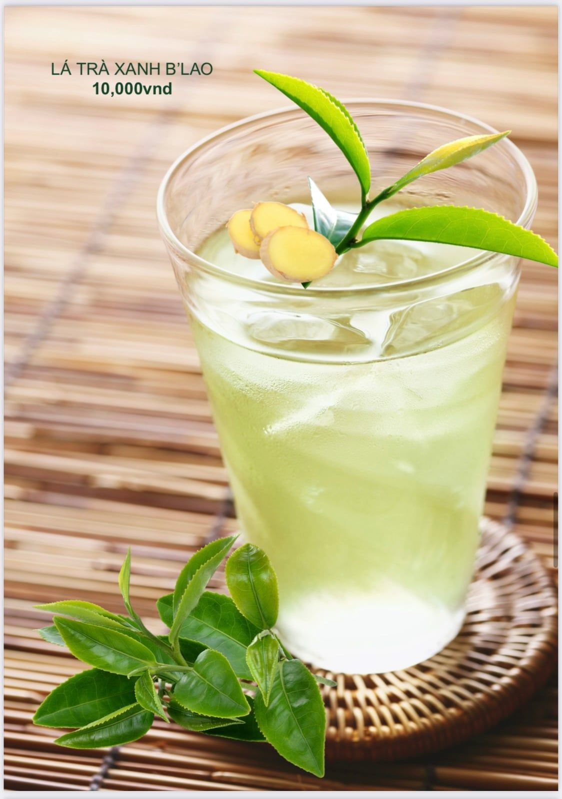  Lá trà xanh / Green Tea Leaf 