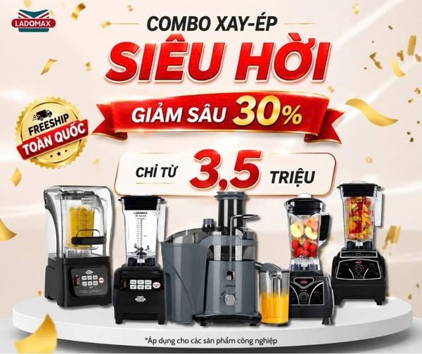 Máy xay sinh tố công nghiệp 2680W Ladomax HA-9116