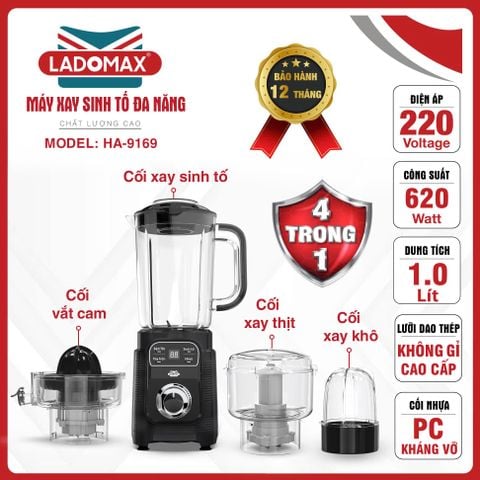 Máy xay sinh tố đa năng Ladomax HA-9169