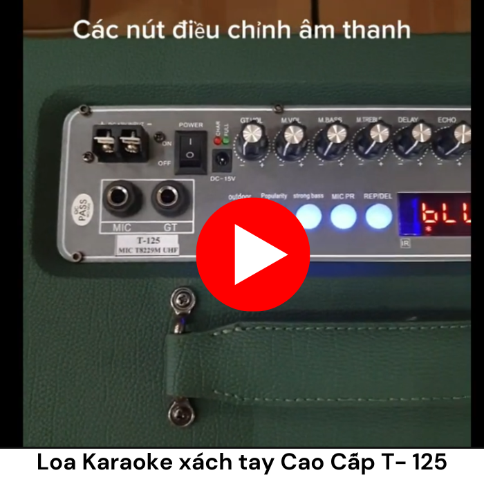 Loa Karaoke xách tay Cao Cấp Ladomax T-125 (Bass đơn 25cm)