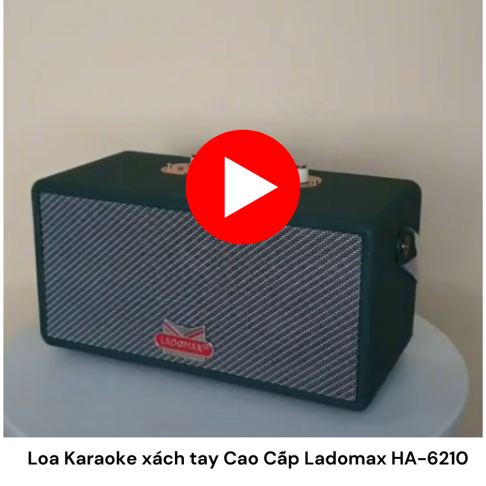 Loa Karaoke xách tay Cao Cấp Ladomax HA-6210