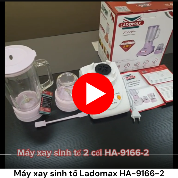 Máy xay sinh tố Ladomax HA-9166-2