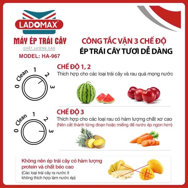 Máy ép trái cây công nghiệp Ladomax HA-967