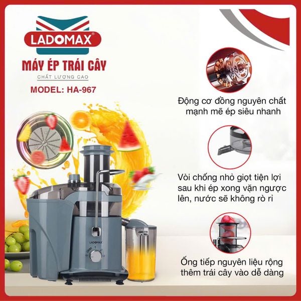 Máy ép trái cây công nghiệp Ladomax HA-967