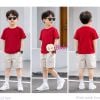  Áo Thun Tay Ngắn CVC Cotton Màu Trơn (26-75kg) 