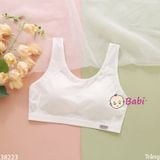  Áo Bra Lưới Học Sinh Cho Bé Gái (35-63kg) 
