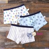  Set 3 Chip Đùi Bé Trai Họa Tiết Dễ Thương (30-47kg) 