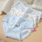  H6 Quần Lót Cotton Set 5c Cho Mẹ Và Bé Gái (40-55kg) 