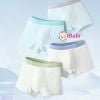 Set 4 Chip Đùi Màu Trơn Cho Bé Trai (26-40kg)