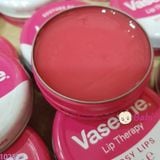  VASELINE DƯỠNG MÔI MỚI 