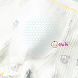  Set 4 Chíp Đùi Cotton Bé Trai Họa Tiết Đẹp (33-45kg) 