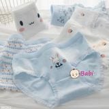  H6 Quần Lót Cotton Set 5c Cho Mẹ Và Bé Gái (40-55kg) 