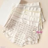  Quần Chip Tàng Hình Set 5c–Cotton Lạnh Mát Cho Mẹ 50–65kg 