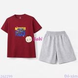 Bộ Thun Bé Trai Tay Ngắn Quần Ngắn Hình Xe (23kg - 62kg) 