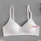  Bra Cài Sau Học Sinh Sinh Viên Mẫu Mới (32-38) 