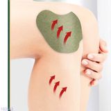  COMBO 5H DÁN THẢO DƯỢC NHỨC MỎI VAI GÁY 