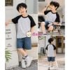  Áo Thun Cotton Tay Ngắn Raplang Màu Trơn (30-70kg) 