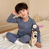  Bộ Tay Dài Quần Dài Bé Trai Họa Tiết Đẹp (20-40kg) 