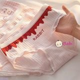  SET 6 QUẦN CHIP HÌNH THỎ HỒNG (40-55kg) 