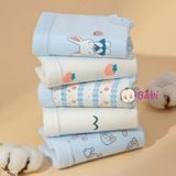 H6 Quần Lót Cotton Set 5c Cho Mẹ Và Bé Gái (40-55kg) 