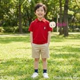  Áo Thun Cổ Trụ Bé Trai Bé Gái Tay Ngắn Hình Gấu (30-75kg) 
