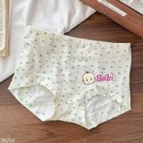 Set 4c Quần Tam Giác Cotton Nữ  (45-65kg) 