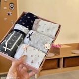  Set Chip Nữ MeiTangTing (50kg-70kg) 