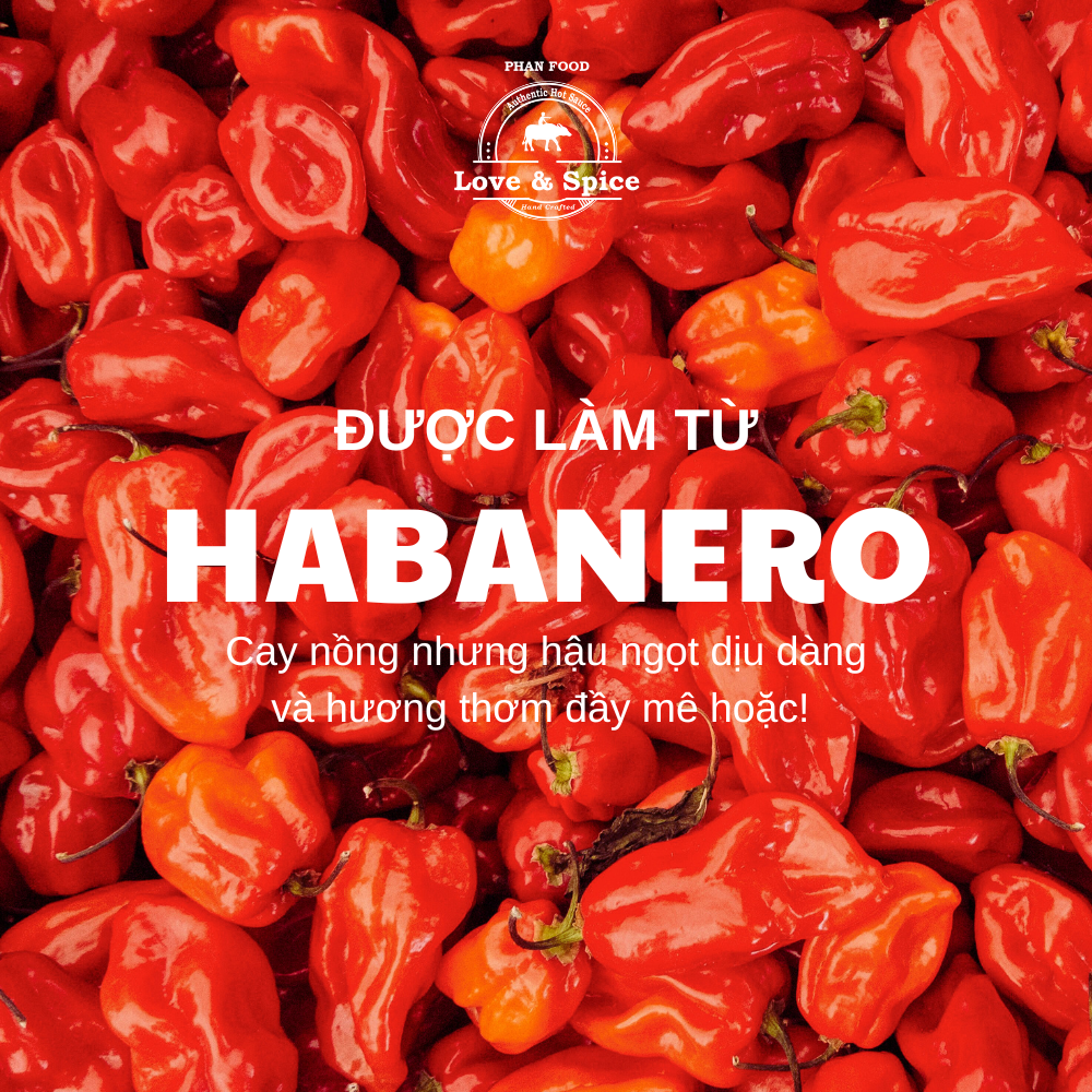  Móc khóa tương ớt siêu cay Love & Spice CAY AIYA! lên men tự nhiên từ ớt Red Habanero chai 80g 