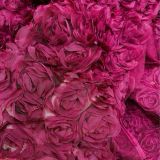  Khăn Bàn Hoa Hồng 